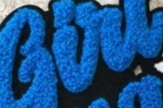 deliver professional embroidery digitizing logo in an hour