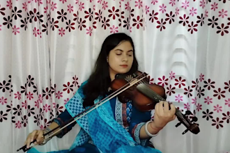 teach you indian classical violin