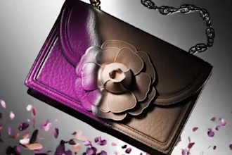 create any bag in 3d animation 3d character modelling rendering product