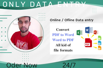 data entry  pdf convertion online ofline data entry