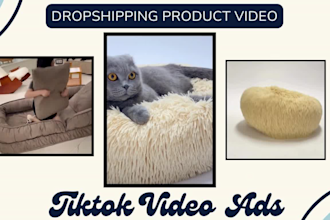 create viral tik tok video ads, tiktok dropshipping video ads for tiktok product