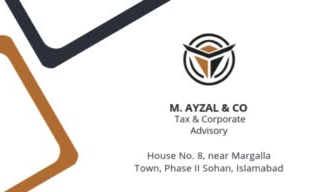 pakistan tax return and wealth statement