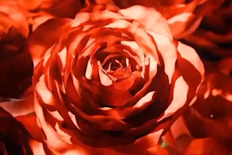 do incredible 3d perfume animation 3d bottle animation