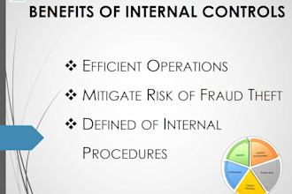 do internal controls, policies, manuals, sops for business