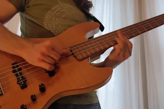 play bass on anything you need
