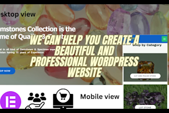 develop any type of business website in wordpress
