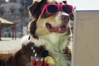 make a funny video commercial with a dog at the beach