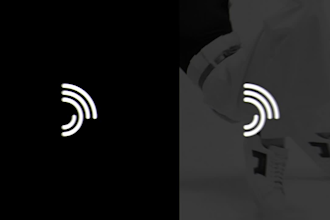 luxury fashion logo copyrights