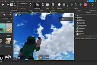 be scripter for your roblox game