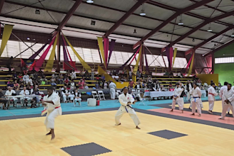 get you started learning shotokan karate