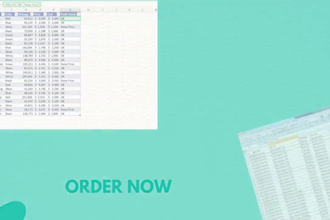 excel data entry, cleanup, and formatting services