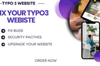 fix bugs, update and troubleshoot your typo3 website
