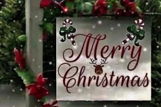 be your female vocalist and lyricist for christmas, pop, edm, rock music