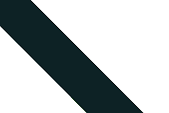 create a perfect custom logo animation for you
