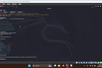 do pentesting for you website