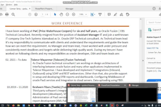 be your oracle ebs and fusion technical consultant