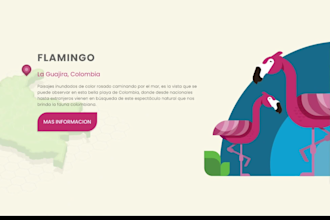 design or redesign interactive websites and landing pages