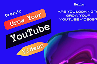 do organic youtube video promotion or SEO to niche targeted audiences