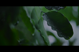 do cinematic color grade and color correct video as colorist