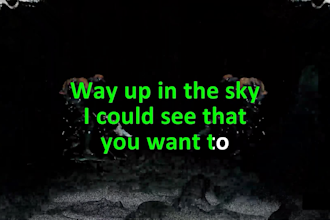 create high quality karaoke videos with lyrics for your song