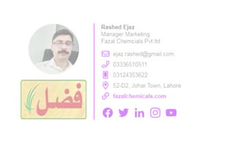 design a professional clickable email signature