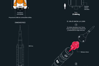 make quality isometric and infographic illustrations