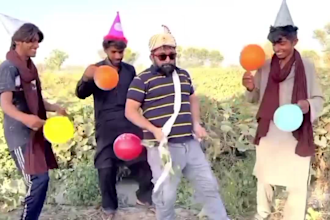 wish you crazy funny happy birthday video with sheeps and spokeperson