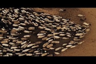 make cinematic trailer or title sequence