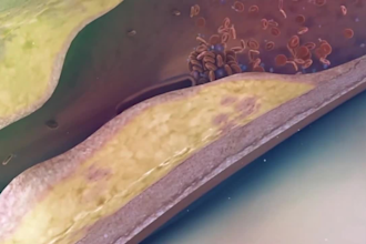 do realistic, high quality 3d medical animation and models