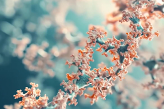 create medical video production w custom images, scripting, and voiceover