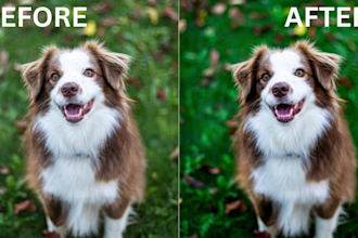 upscale, enhance and expertly colorize images, photos for stunning results
