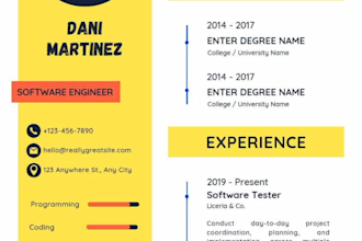 make professional infographic resume design graphical CV