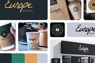 design professional brand style guide with logo and identity system brand book