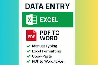 do accurate data entry, excel, and PDF to word conversion