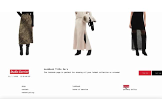create your supreme inspired shopify website for your clothing brand store
