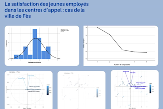 clean analyze visualize and report data with r spss SAS tableau eviews