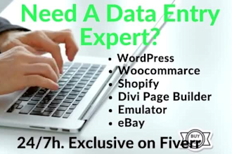 do fastest data entry in low price