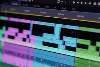 do video editing lessons and support in adobe premiere pro