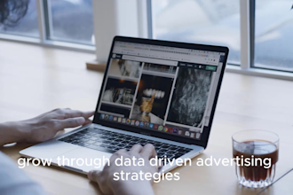 setup and optimize high converting google ads performance max campaign