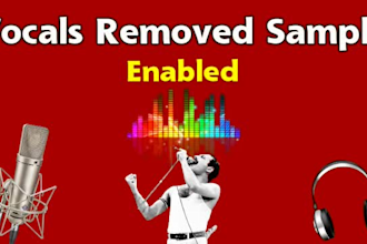 remove vocals from any song