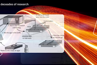 create detailed scientific illustrations for biology and physiology