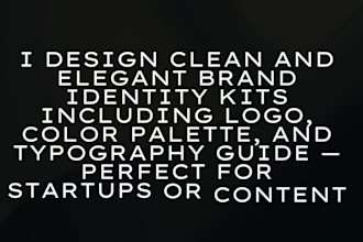 design a professional logo ,brand identity kit for your business in 24h