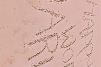 create a stunning beach video with your message in the sand