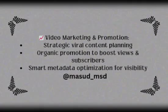 grow your youtube channel with video SEO and audience targeting