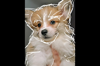 do animated GIF for you