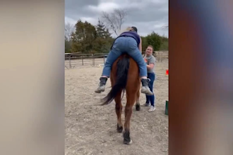 create funny fails  and funny moments videos for youtube facebook tiktok channel