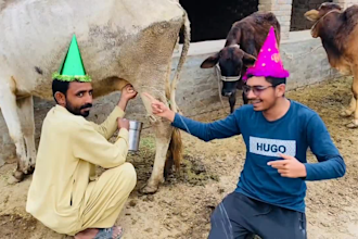 make happy birthday video or african happy birthday videos
