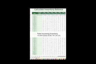 excel data entry and microsoft office