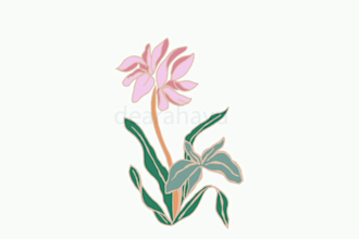 create minimal floral design vector