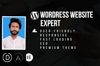 be expert for divi, elementor and astra wordpress website or theme customization